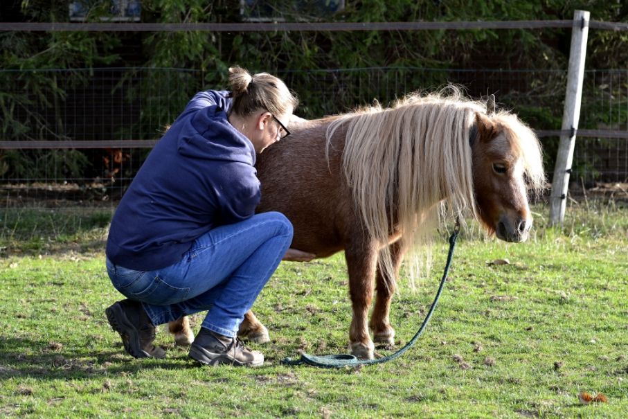 Liever eerst naar de dierenarts bij