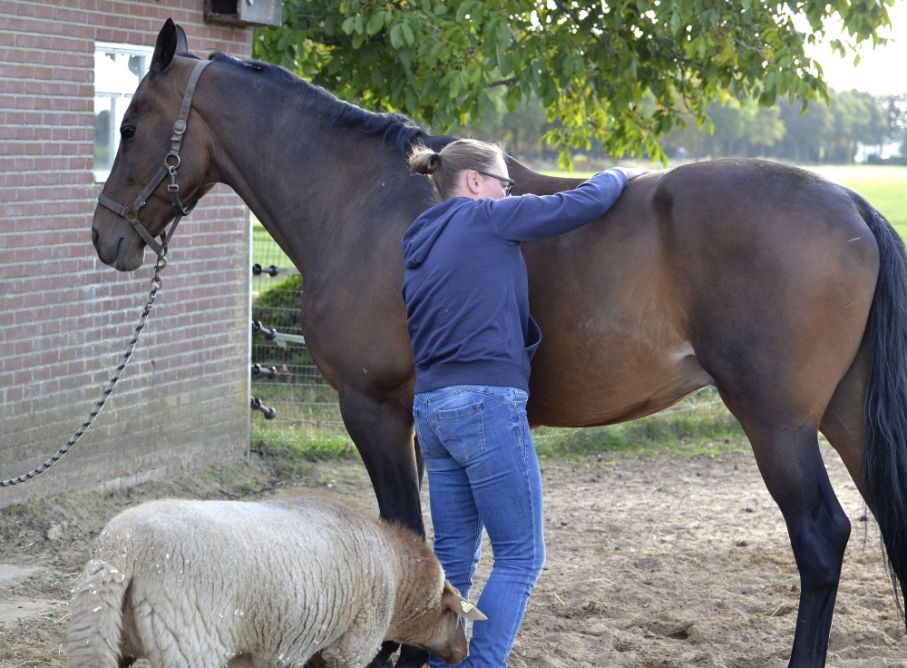 Hoe ziet een behandeling eruit?